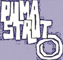 Puma Strut