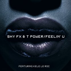 Shy FX and T-P0wer ft. Kelle Le Roc - Feelin' U